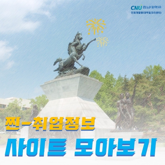 취업정보 사이트